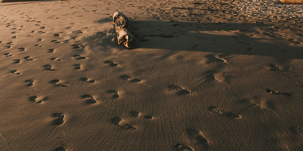 Walking with people